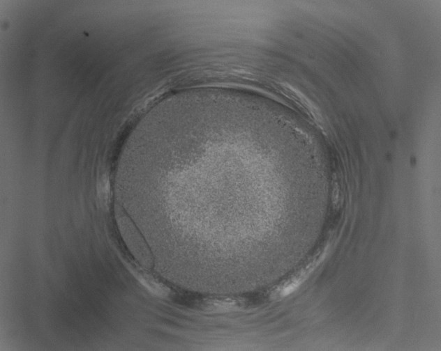 X0000051250405200506241552