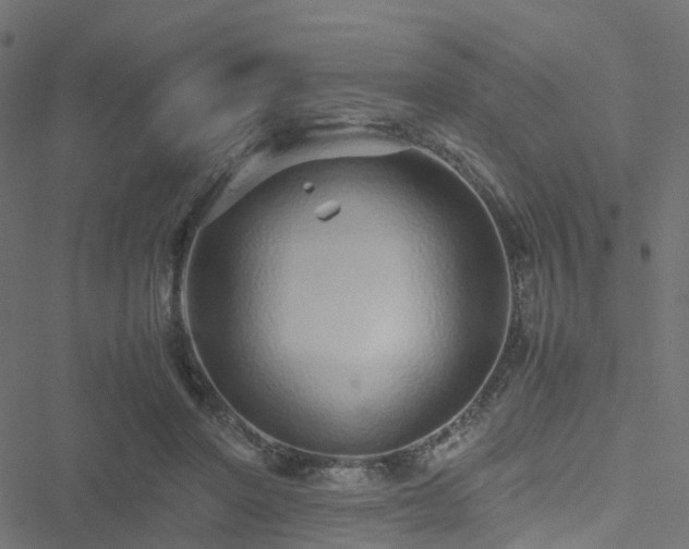 X0000051250406200506241552