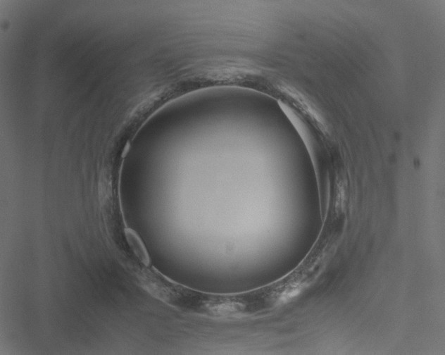 X0000051250407200506241552