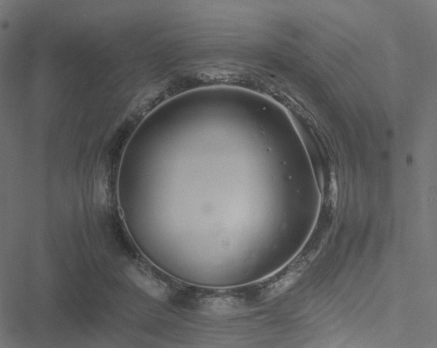 X0000051250408200506241552