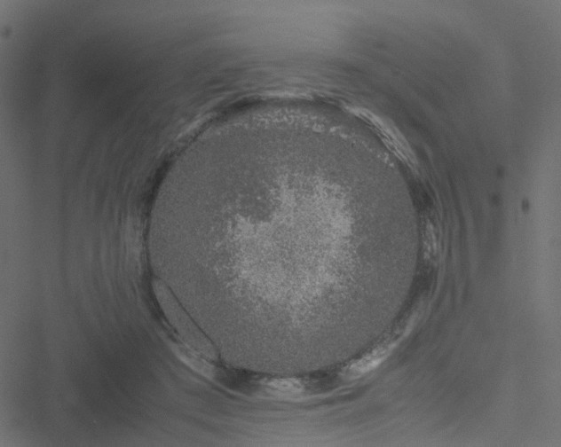 X0000051250409200506241551