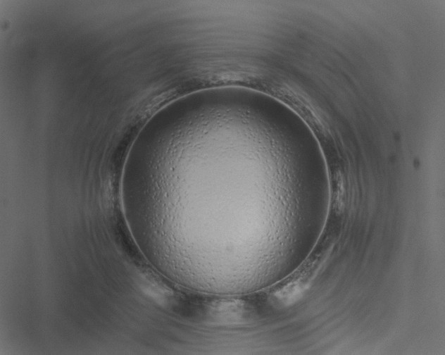 X0000051250410200506241551