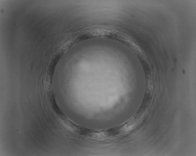 X0000051250411200506241551