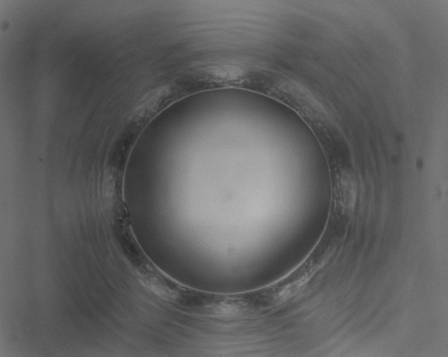 X0000051250412200506241551