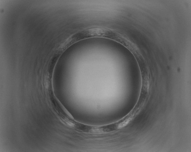 X0000051250413200506241551