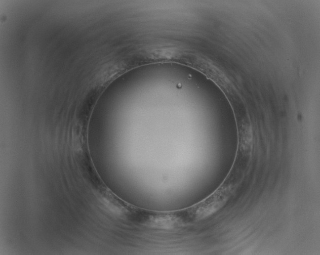 X0000051250414200506241551