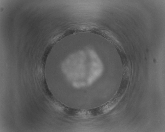 X0000051250415200506241551