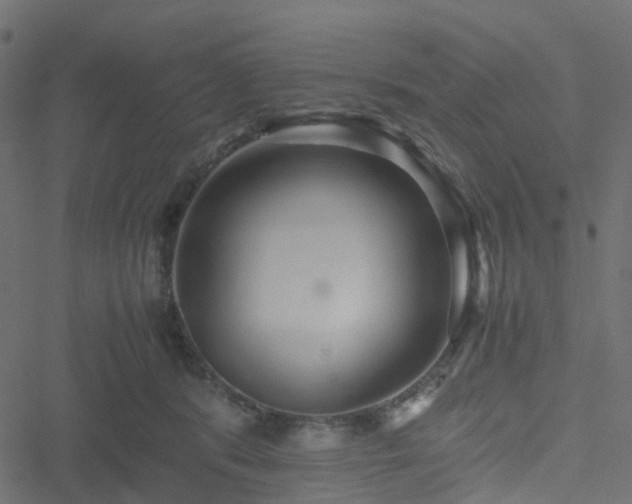 X0000051250416200506241551