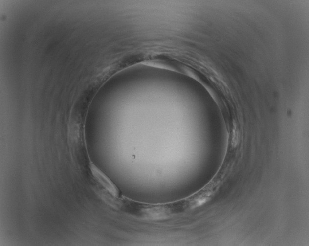 X0000051250417200506241551