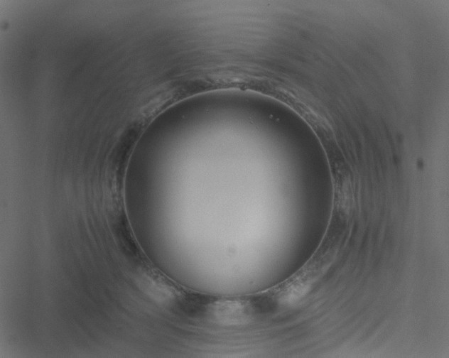 X0000051250418200506241551