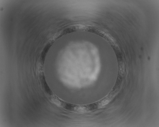 X0000051250419200506241551