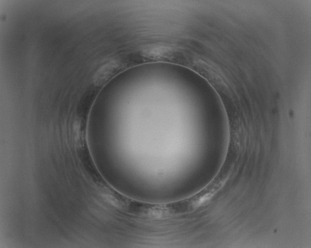 X0000051250420200506241551