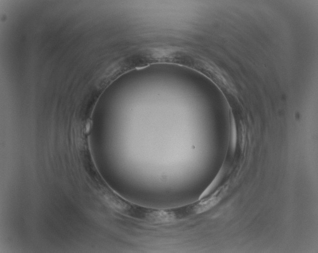 X0000051250421200506241551