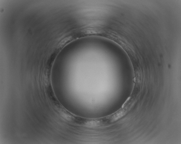 X0000051250422200506241551