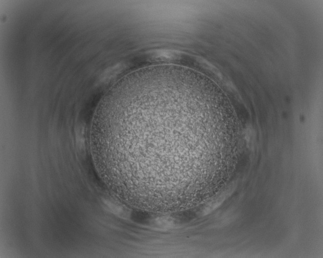 X0000051250423200506241551