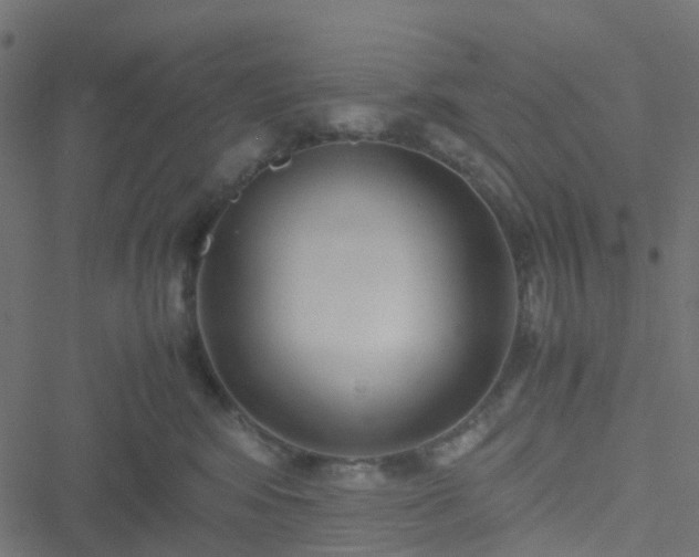 X0000051250424200506241551