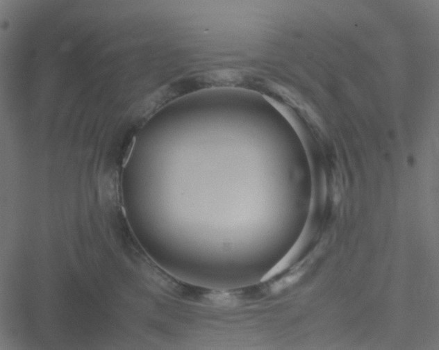 X0000051250425200506241551