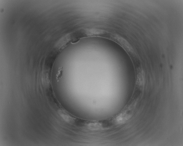 X0000051250426200506241551