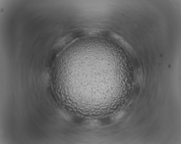 X0000051250427200506241551