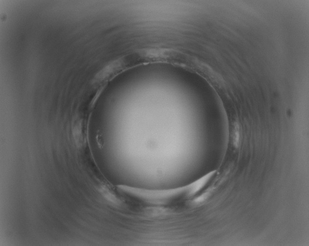 X0000051250428200506241551