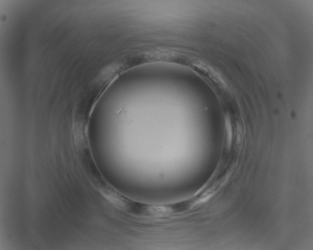 X0000051250429200506241551