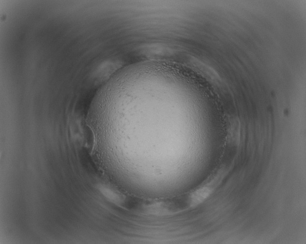 X0000051250430200506241551