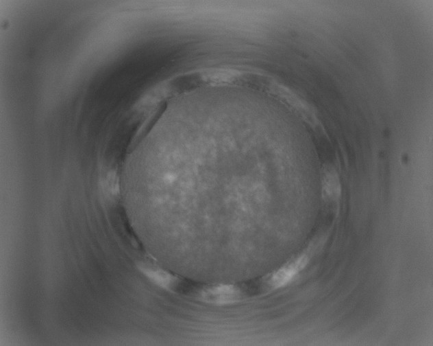 X0000051250431200506241551