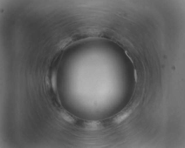 X0000051250432200506241551