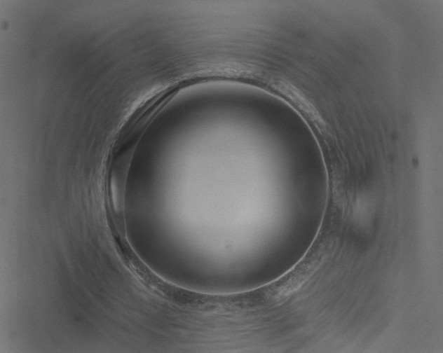 X0000051250434200506241550