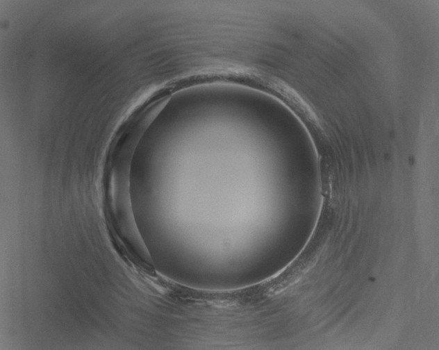 X0000051250436200506241550