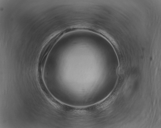 X0000051250437200506241550