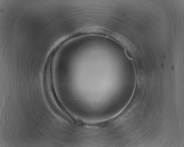 X0000051250438200506241550