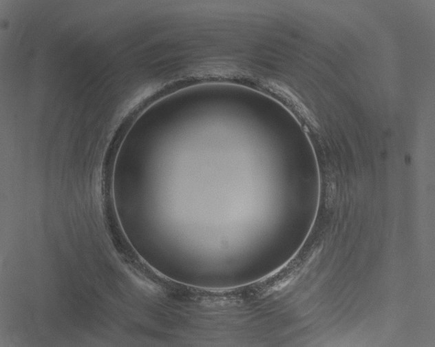 X0000051250439200506241550