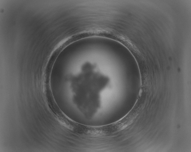 X0000051250440200506241550