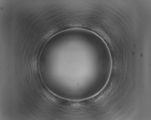 X0000051250441200506241550