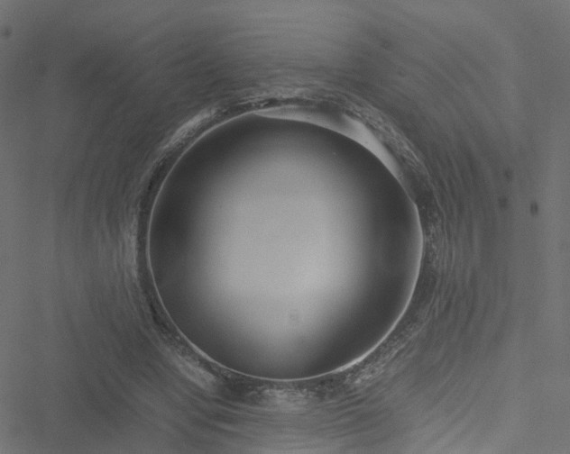 X0000051250442200506241550