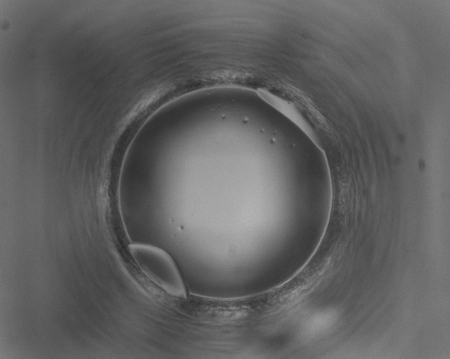 X0000051250443200506241550