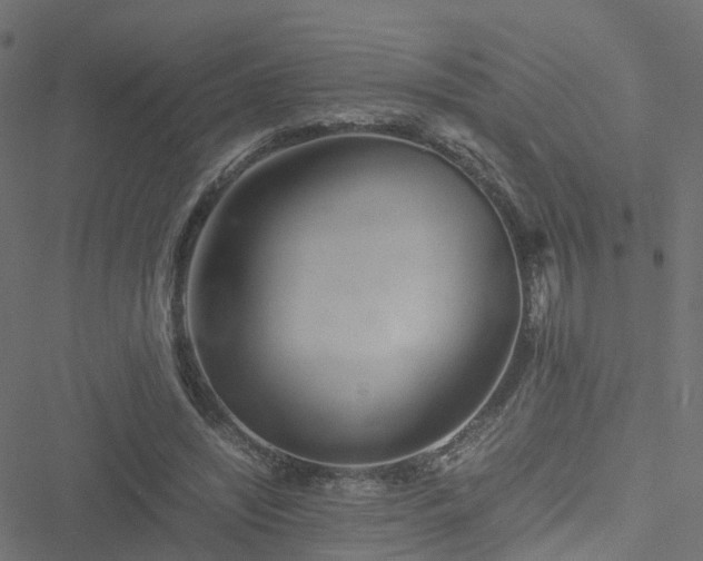 X0000051250444200506241551