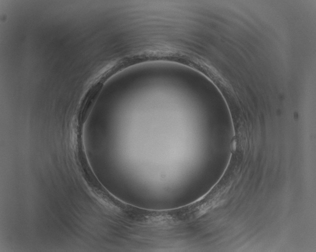 X0000051250446200506241551