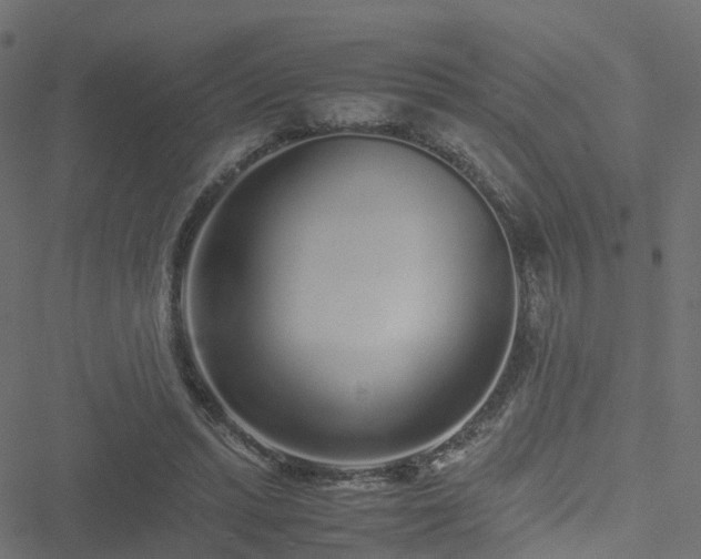 X0000051250447200506241551