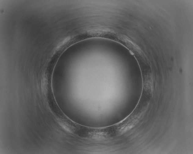 X0000051250448200506241551