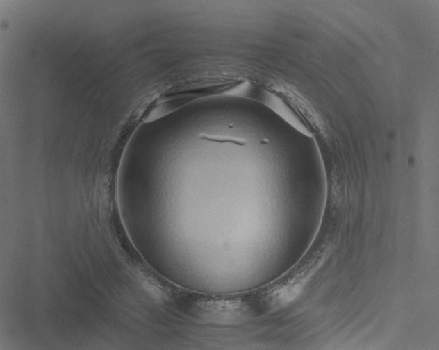 X0000051250449200506241551