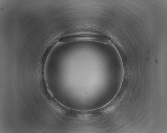 X0000051250450200506241551