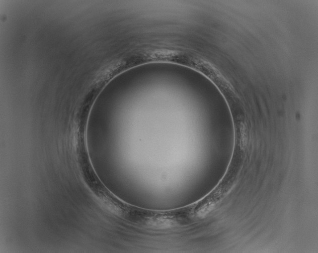 X0000051250451200506241551