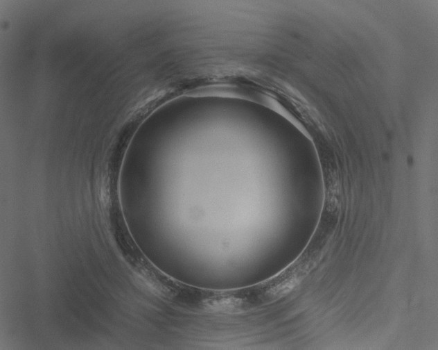 X0000051250452200506241551