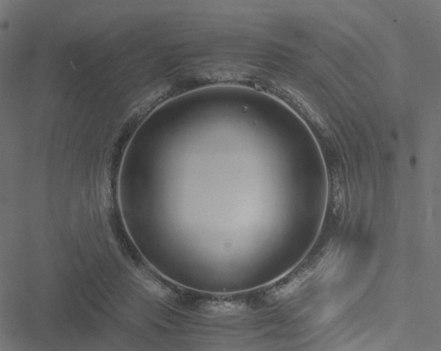 X0000051250453200506241551