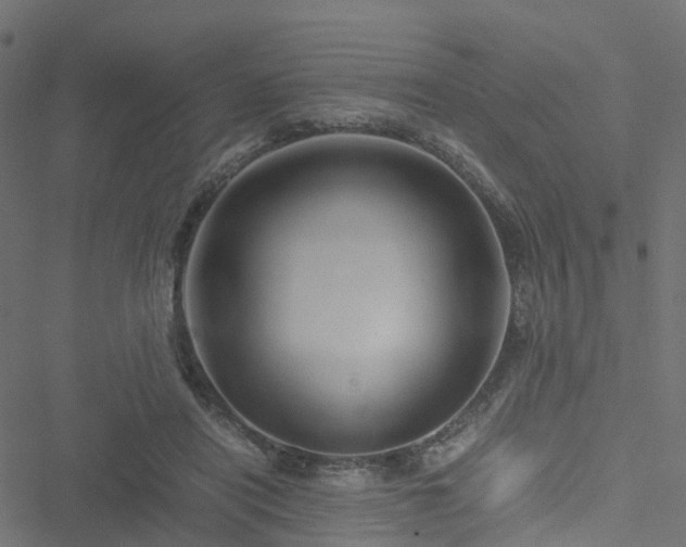 X0000051250454200506241551