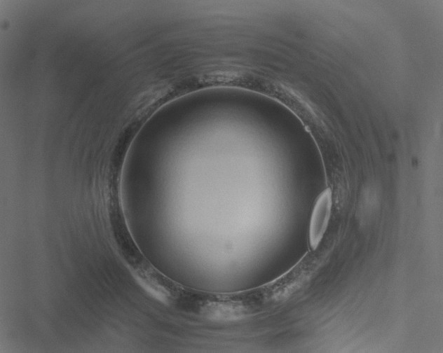 X0000051250455200506241551