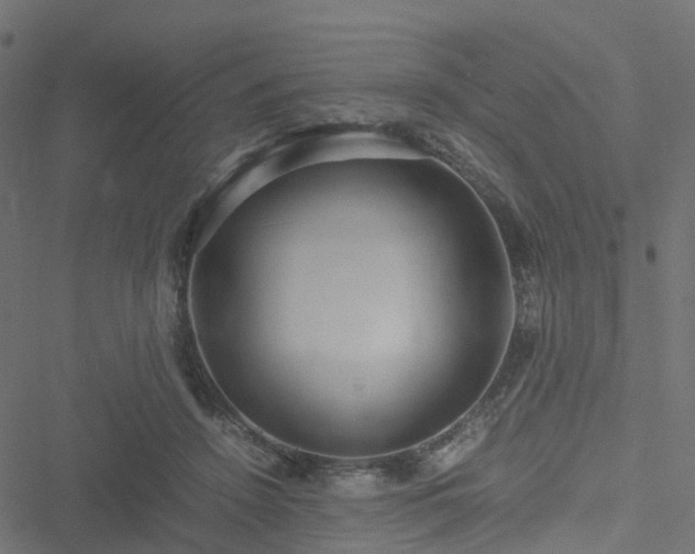 X0000051250456200506241551