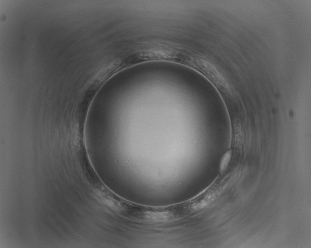 X0000051250457200506241551